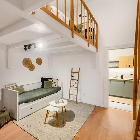 R31 Raday Daire Budapeşte